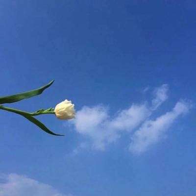 360龙曜三国官方版下载