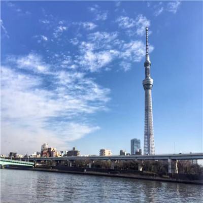 天阶岛果盘游戏下载