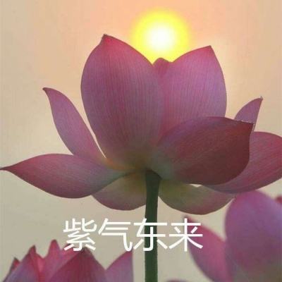 英雄冲冲冲手机版下载